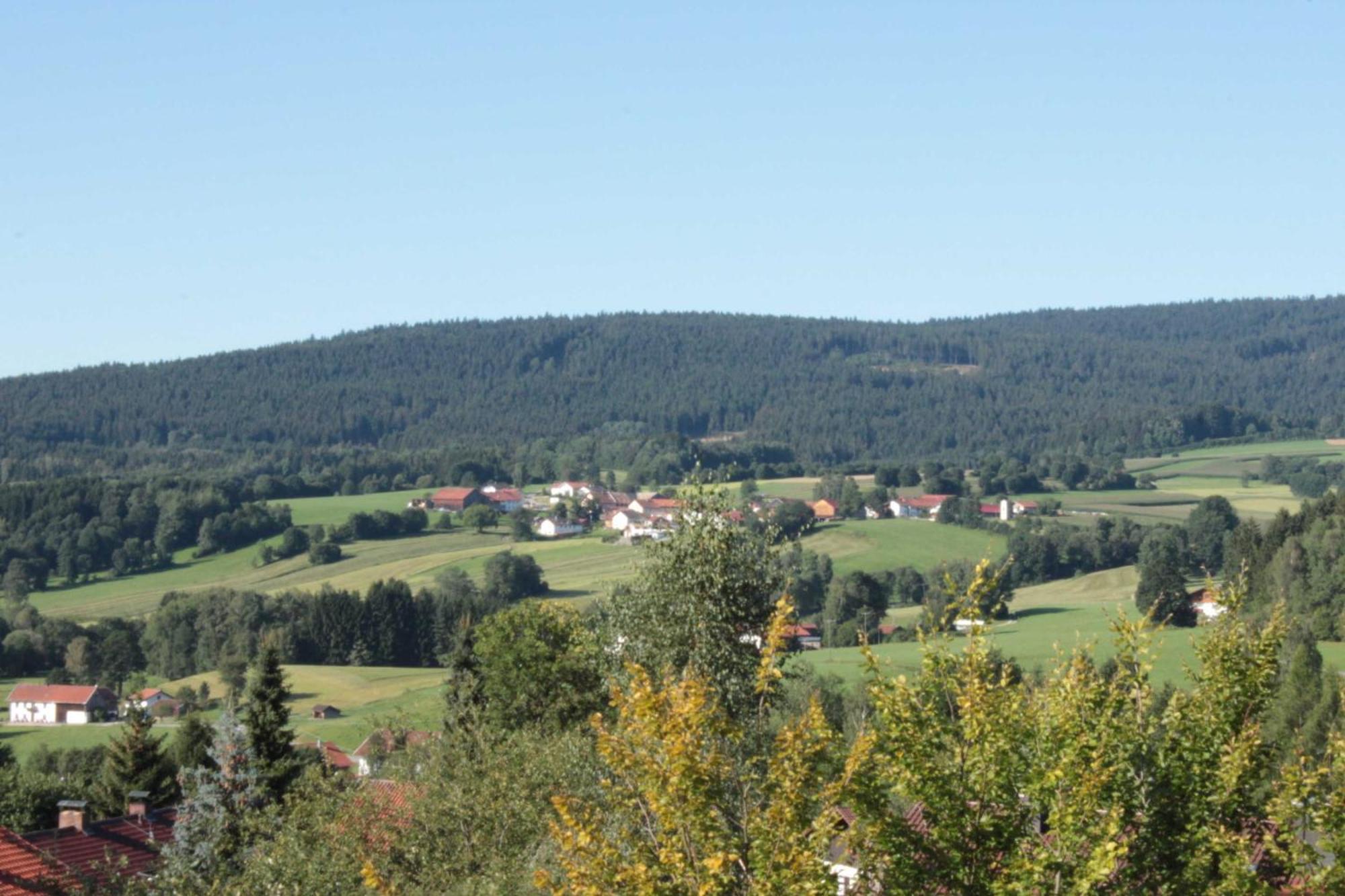 Fewo Mit Malerischem Bergblick Im Bischofsmais Kültér fotó