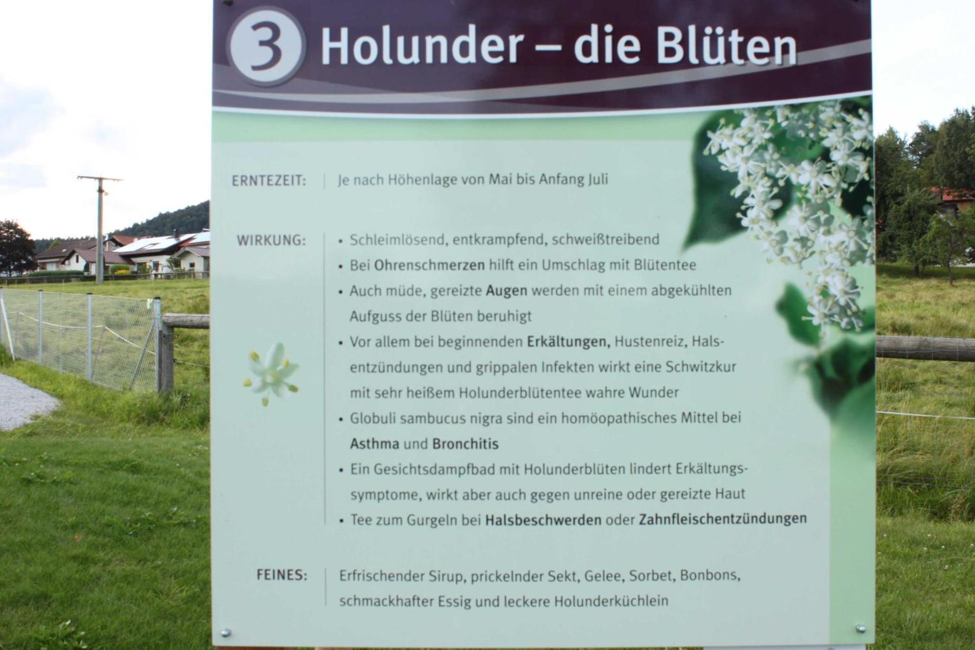 Fewo Mit Malerischem Bergblick Im Bischofsmais Kültér fotó