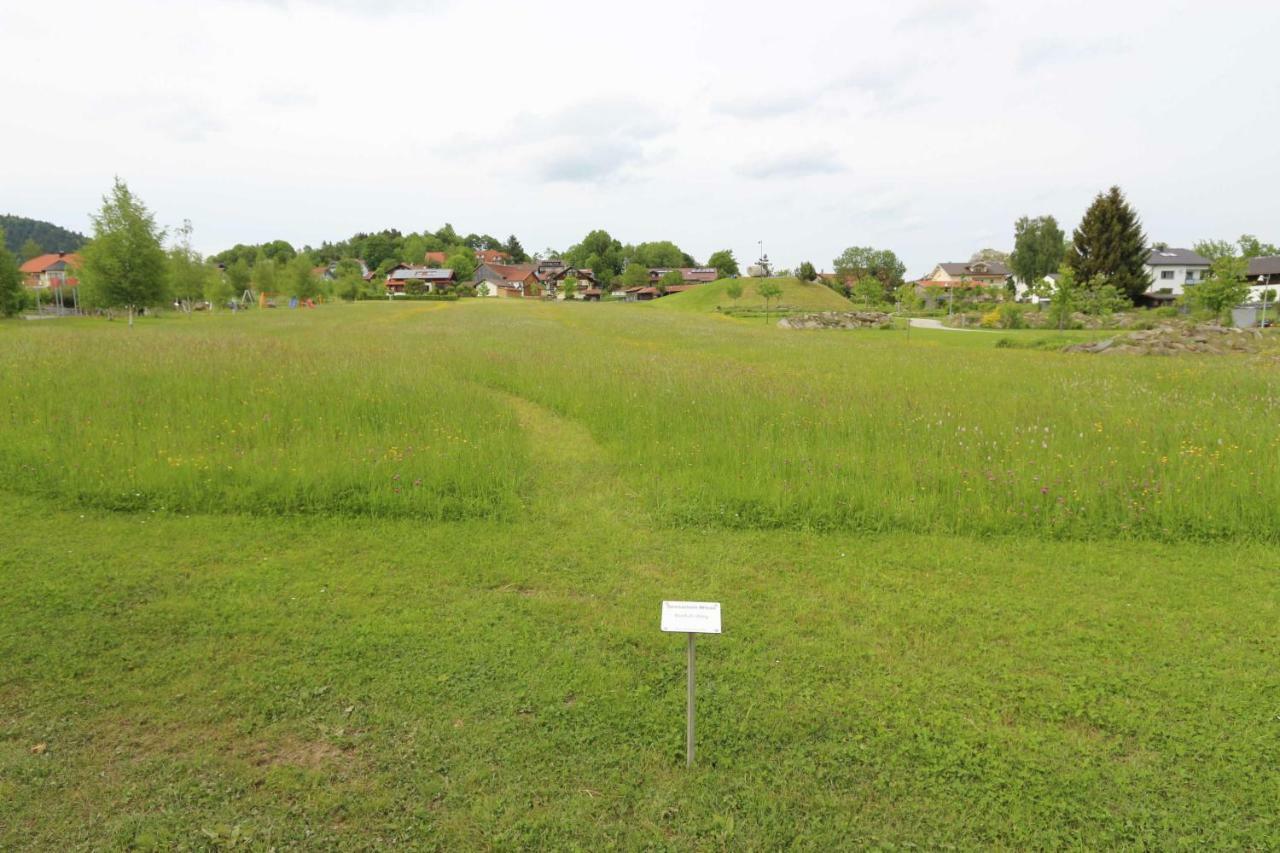 Fewo Mit Malerischem Bergblick Im Bischofsmais Kültér fotó